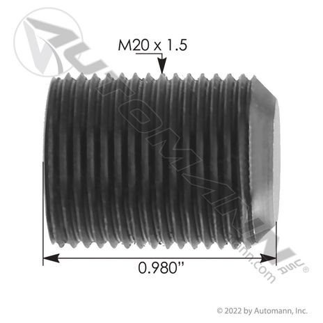 MSD2025