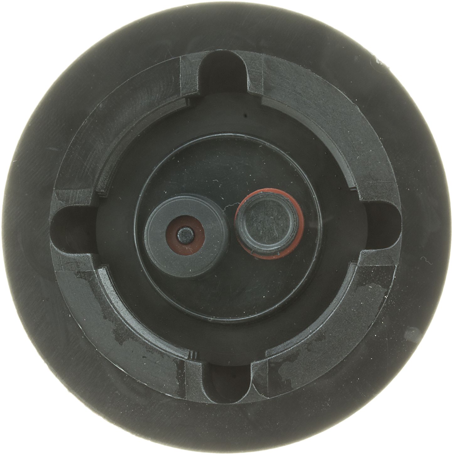 31329-3_BOT_A.jpg