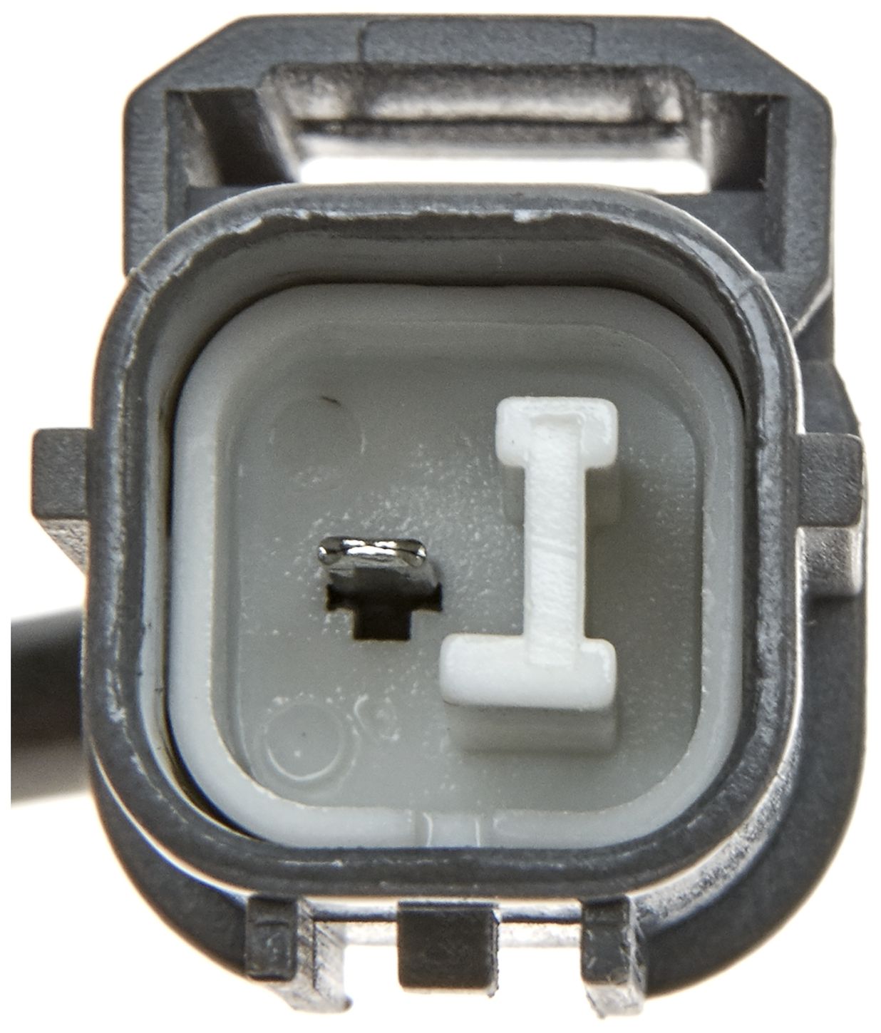 VVS188-3_CON_A.jpg