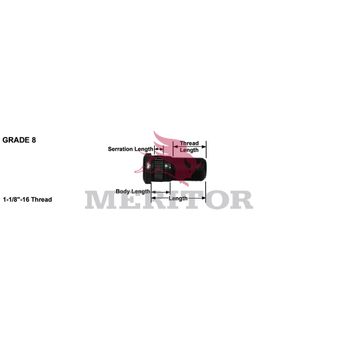 09001668 photo front 790