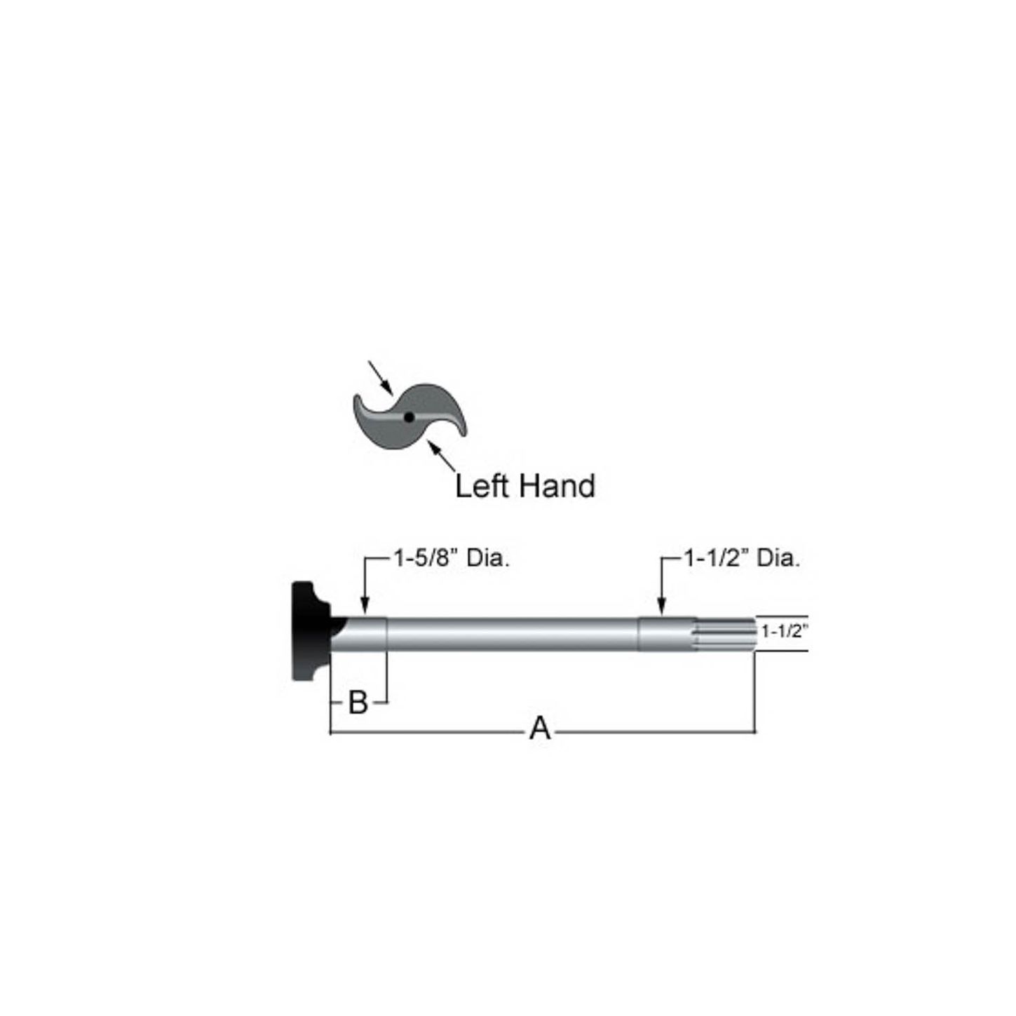 CS41292.jpg