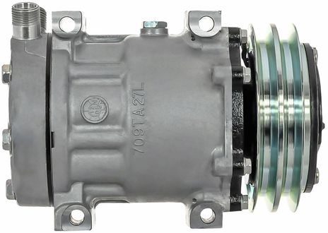 54325