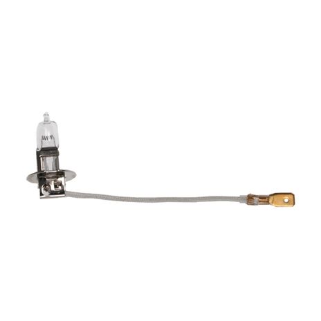 headlight-bulb-91051.jpg