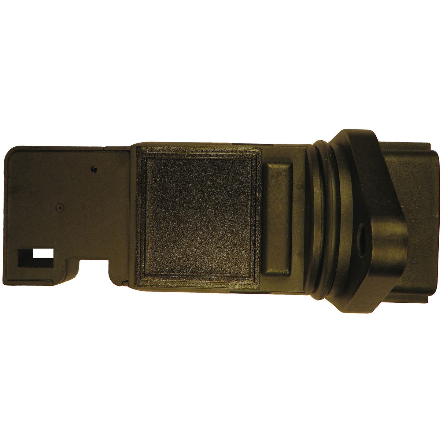 MAF10163 BAC