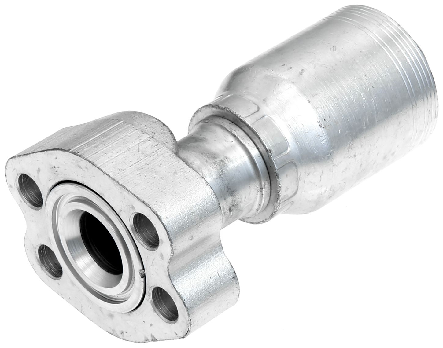 G233743232-1_ANG_R.jpg