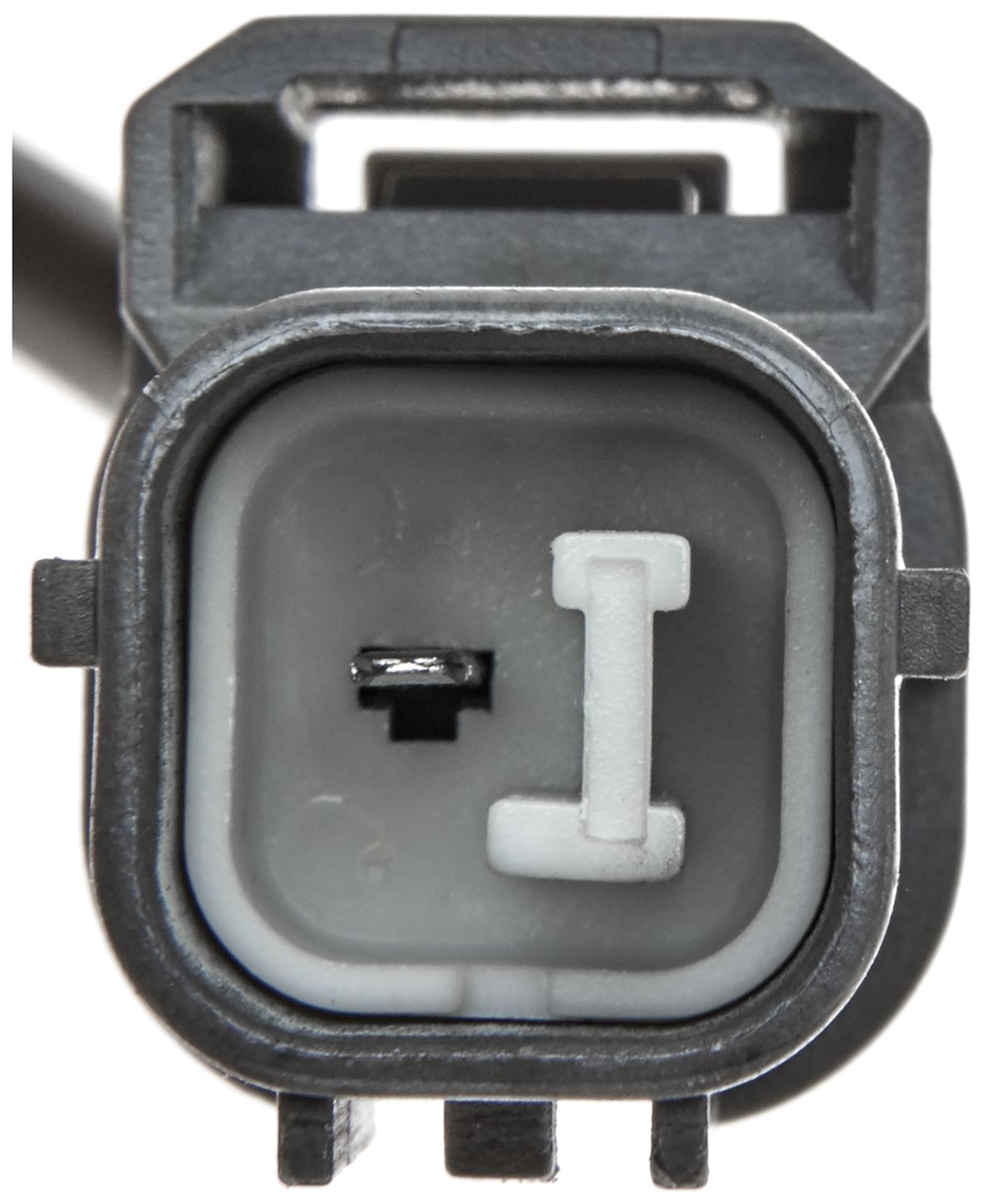 VVS189-3_CON_A.jpg