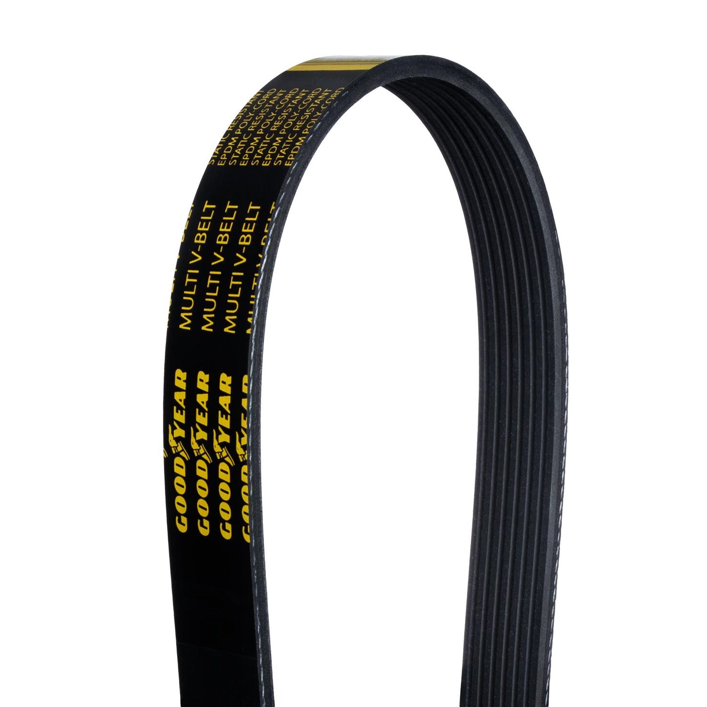 7PK-Close-Up-Belt-Backside