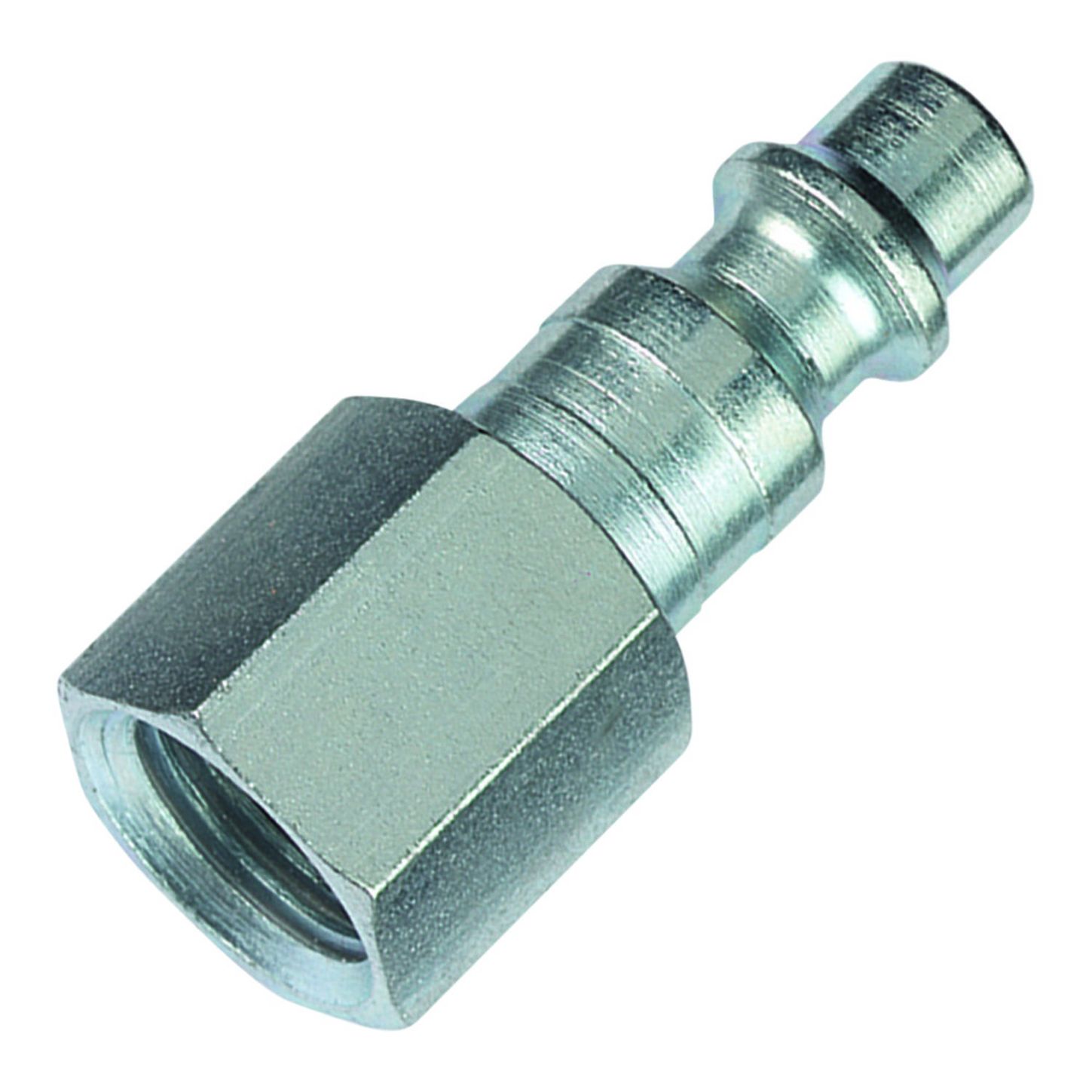 AMFLCP22_1_x-large.jpg