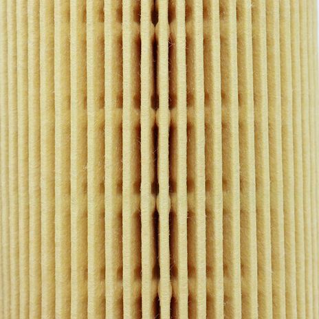 PRIMPOF6288 3