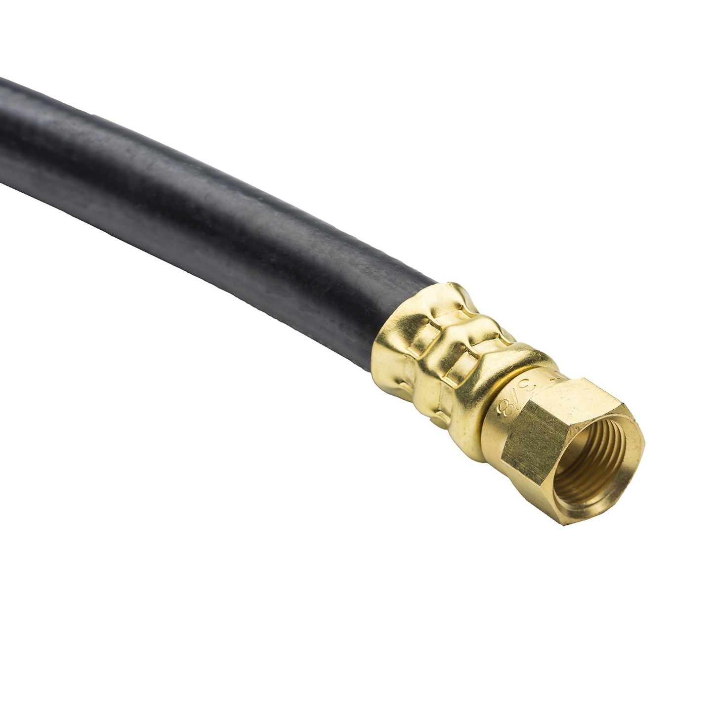 M5FF6634.jpg