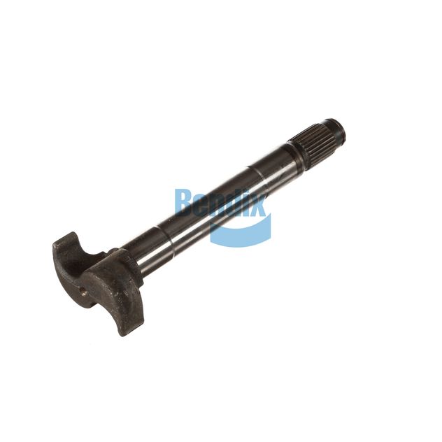 18-517.jpg