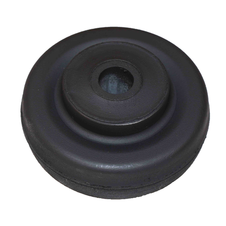 S-22496 v1