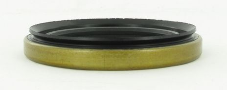 17915_3.JPG