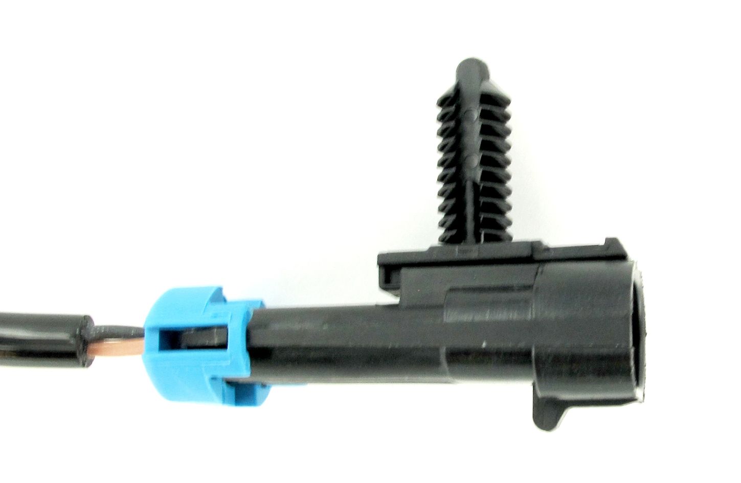 SC097_3.JPG