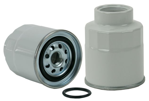WF10228.jpg
