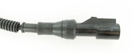 SC459_3.JPG