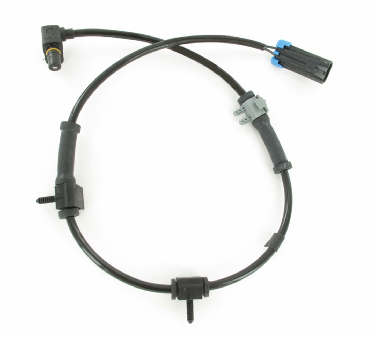 SC307_1.JPG
